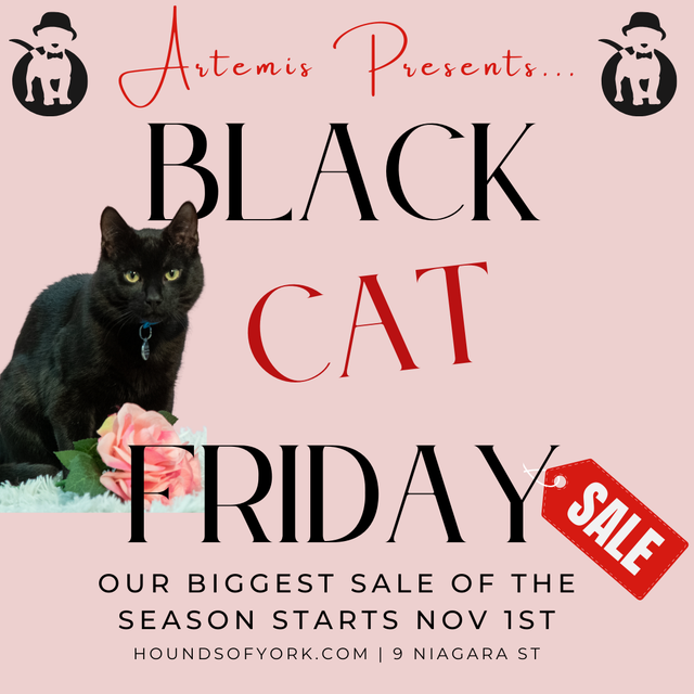 Black CAT Friday Sale!