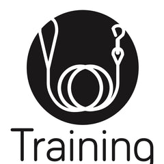 Collection image for: Training Essentials