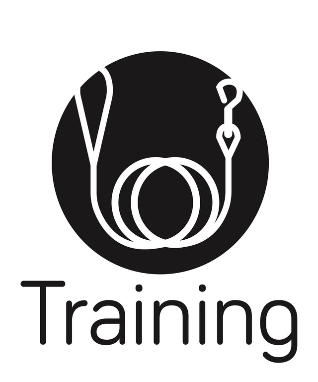Training Essentials