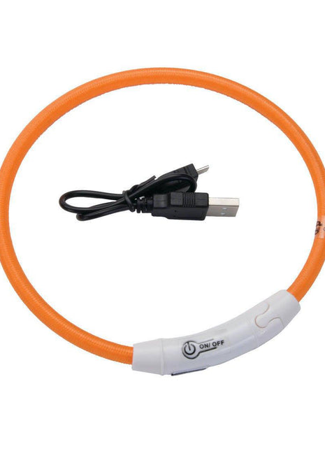 Coastal USB Light-Up Neck Ring