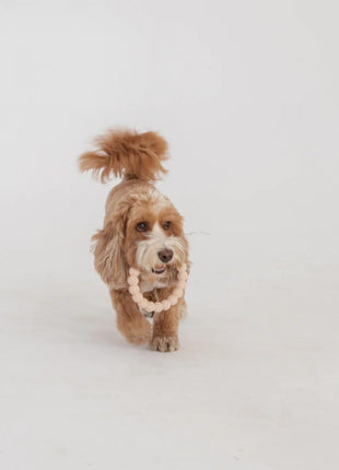 DexyPaws 2 Piece Geometric & Ring Aggressive Chew Toy Set