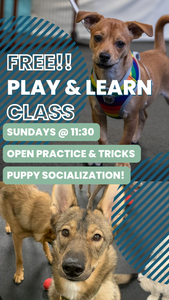 FREE!  Open Play & Learn