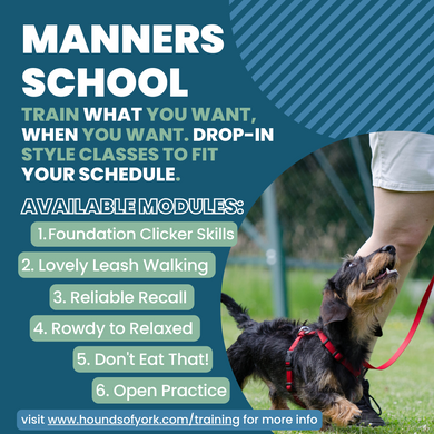 Manners School Class Pass