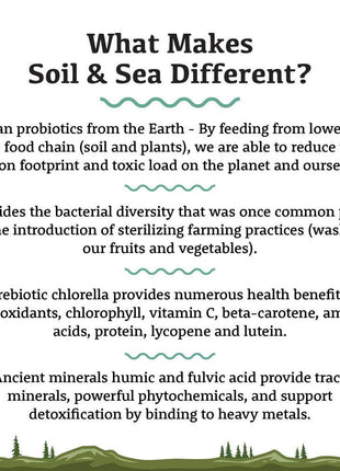 Adored Beast ROOTS Primordial Pre & Probiotics