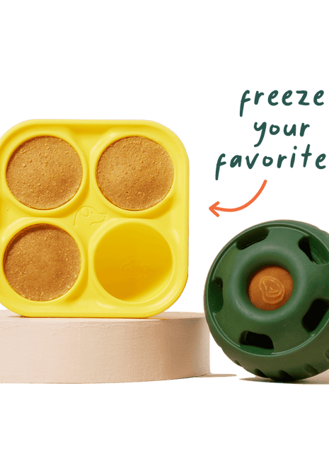 Woof Pupsicle Treat Tray