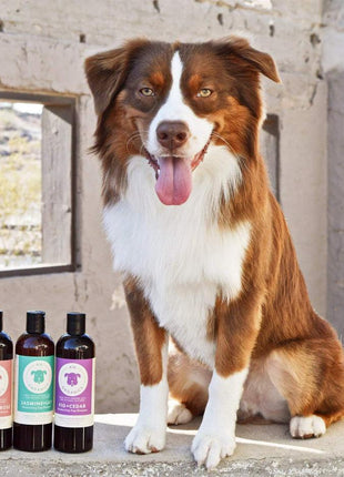 kin+kind Kin Organics Oatmeal Itchy Dog Shampoo