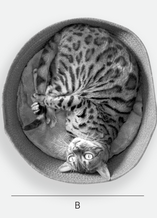 Be One Breed Cuddler Basket