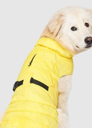 Canada Pooch Grow With Me Raincoat YELLOW