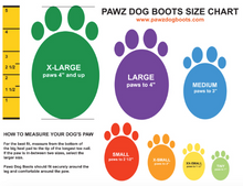 PAWZ Dog Boots