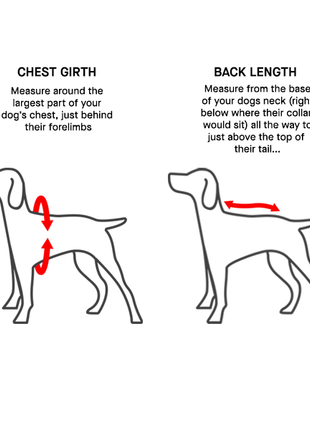 Canada Pooch Chill Seeker Cooling Vest Popsicle