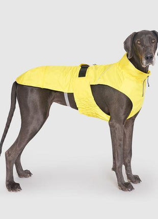 Canada Pooch Grow With Me Raincoat YELLOW