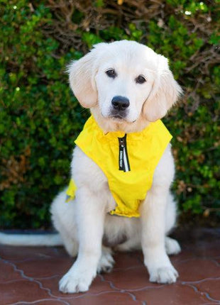 Canada Pooch Grow With Me Raincoat YELLOW