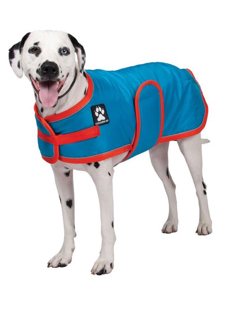 Shedrow K9 Tundra Coat Azure