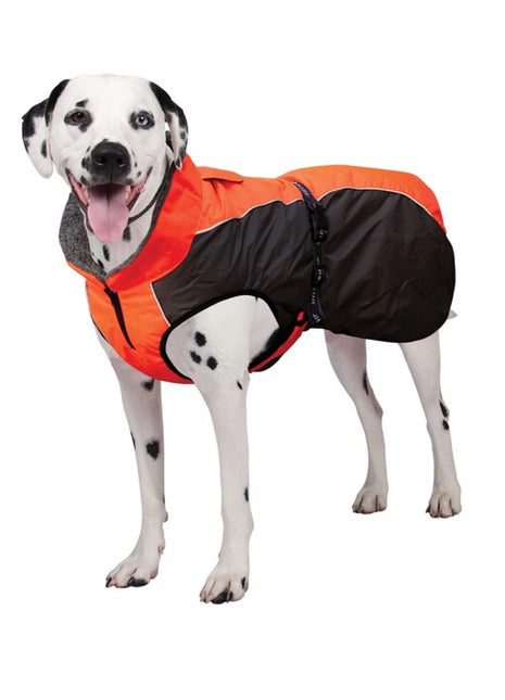 Shedrow K9 Chinook Coat Orange