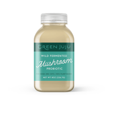 Green Juju- Wild Fermented Mushroom Probiotic (28g)