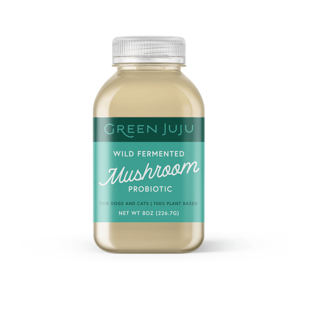 Green Juju- Wild Fermented Mushroom Probiotic (28g)