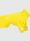 Yellow / 12