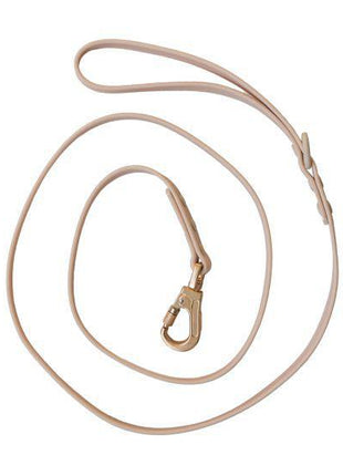 Dexypaws Waterproof Dog Leash
