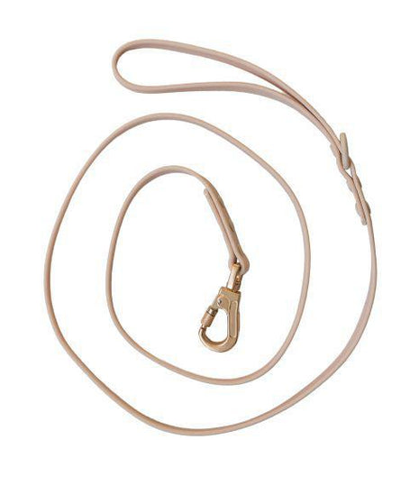 Dexypaws Waterproof Dog Leash