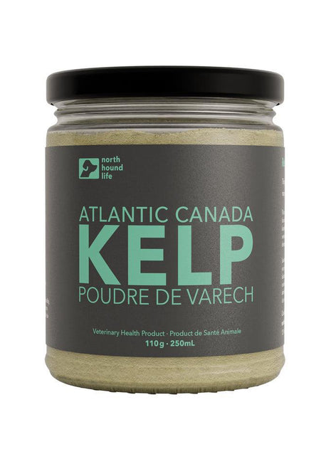 North Hound Life Canadian Atlantic Kelp