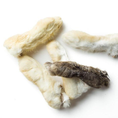 Rabbit Feet