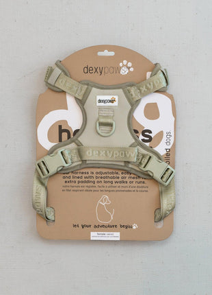 Dexypaws No-Pull Dog Harness
