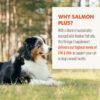 Grizzly Pet Products Wild Alaskan Salmon Supplements