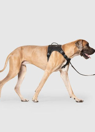 Canada Pooch Complete Control Harness