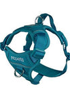 Dark Teal / Medium