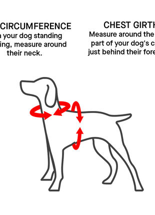 Canada Pooch Complete Control Harness