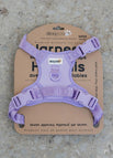 Lilac / Medium