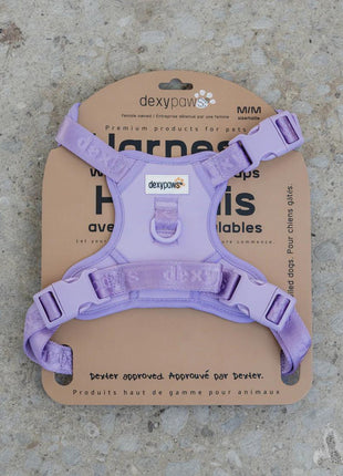 Dexypaws No-Pull Dog Harness