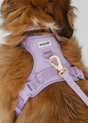 Dexypaws No-Pull Dog Harness