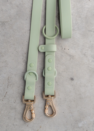 Dexypaws Hands Free Leash