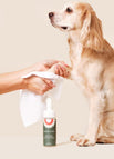 Clean Paws No-Rinse Foaming Cleanser