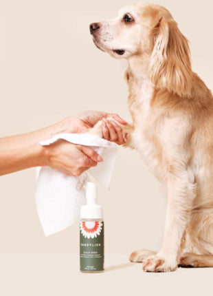 Dandylion Grooming Products for Dogs