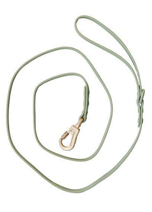 Dexypaws Waterproof Dog Leash