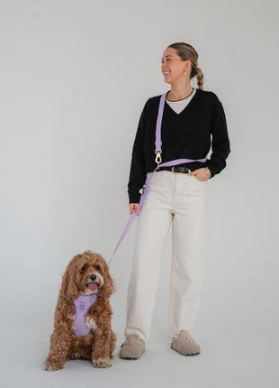 Dexypaws Hands Free Leash