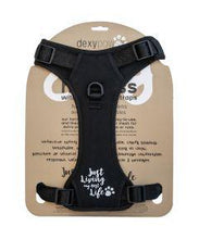 Dexypaws No-Pull Dog Harness