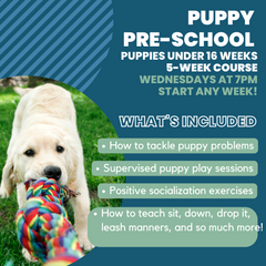 Collection image for: Training Classes