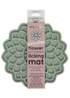 Blossom Flower