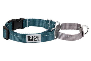 RC Pets Primary Easy Clip Web Training Collar