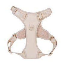 Dexypaws No-Pull Dog Harness