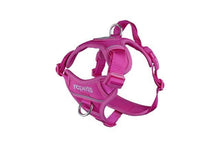 RC Pets Control Momentum Harness