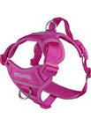 Fucshia / Medium