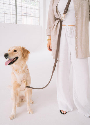 Dexypaws Hands Free Leash