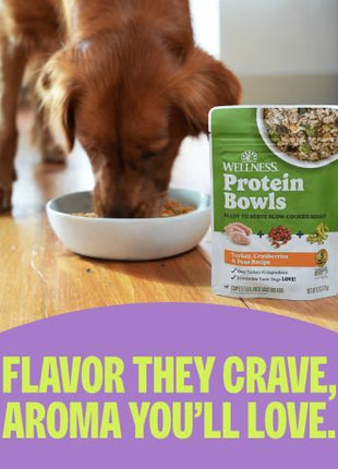Wellness Protein Bowls