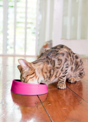 LickiMat Oh Bowl - Oral Health Bowl for CATS