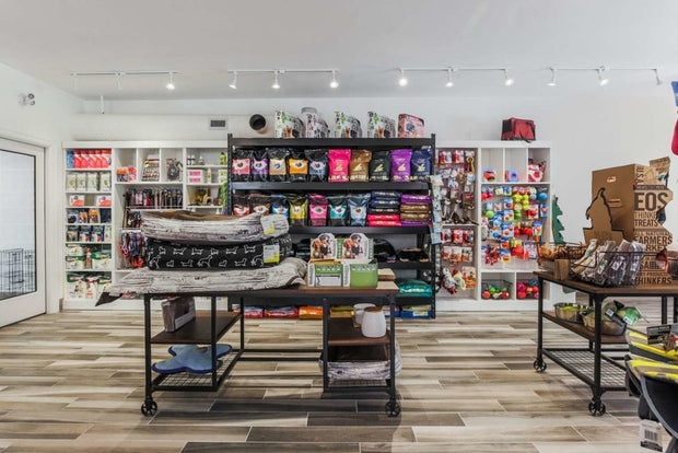 <h1>Hounds of York</h1><h2>A Social Club for Dogs</h2>