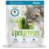 Pet Greens Bellrock Self Grow Garden Cat Grass